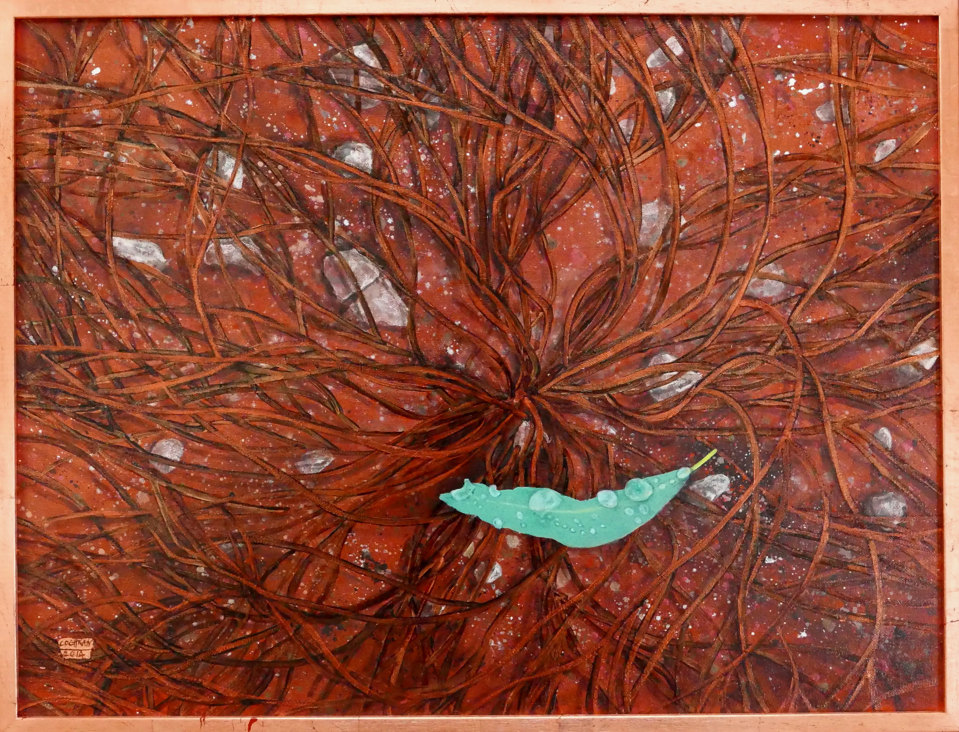 On Spinifex