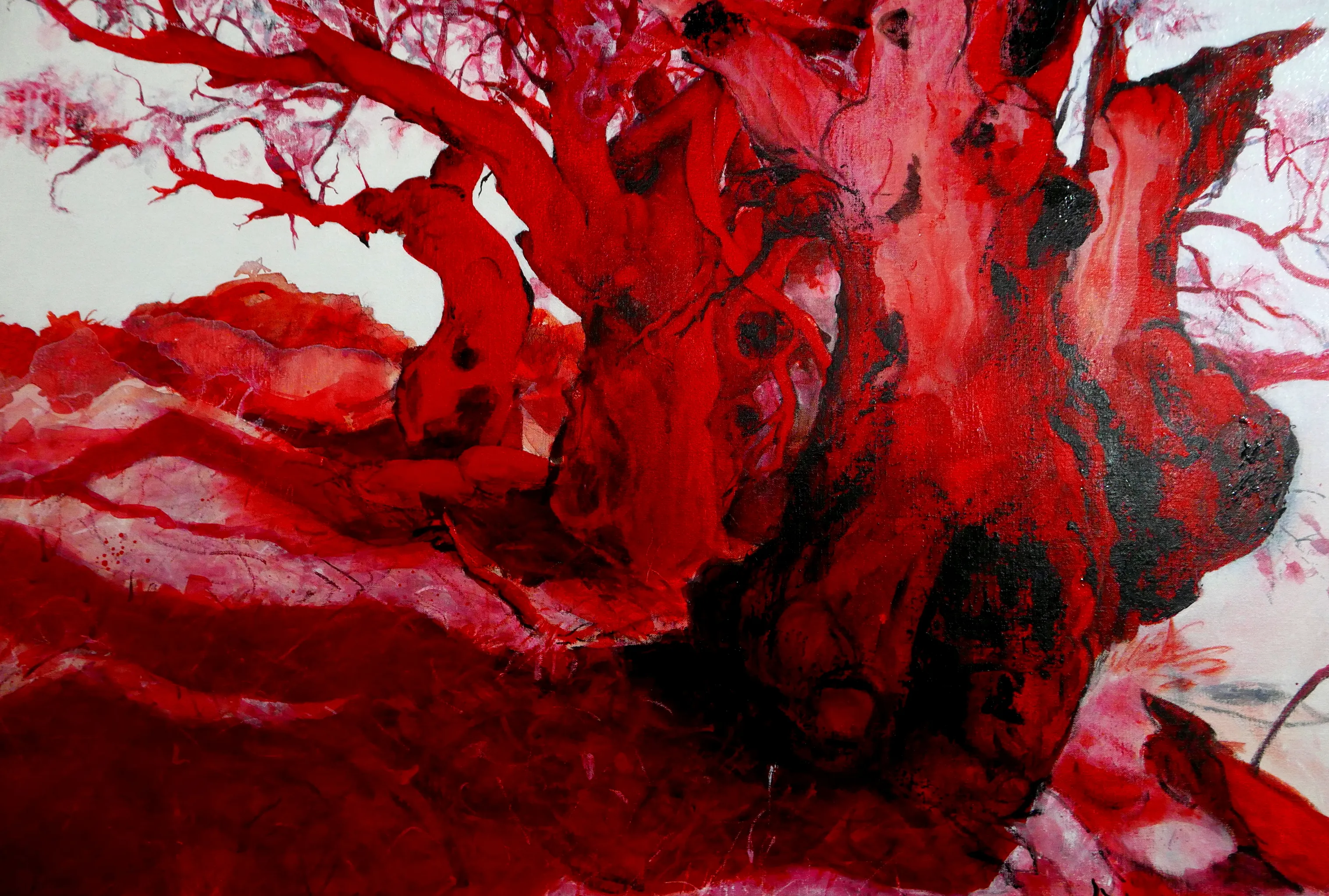 Red Gums