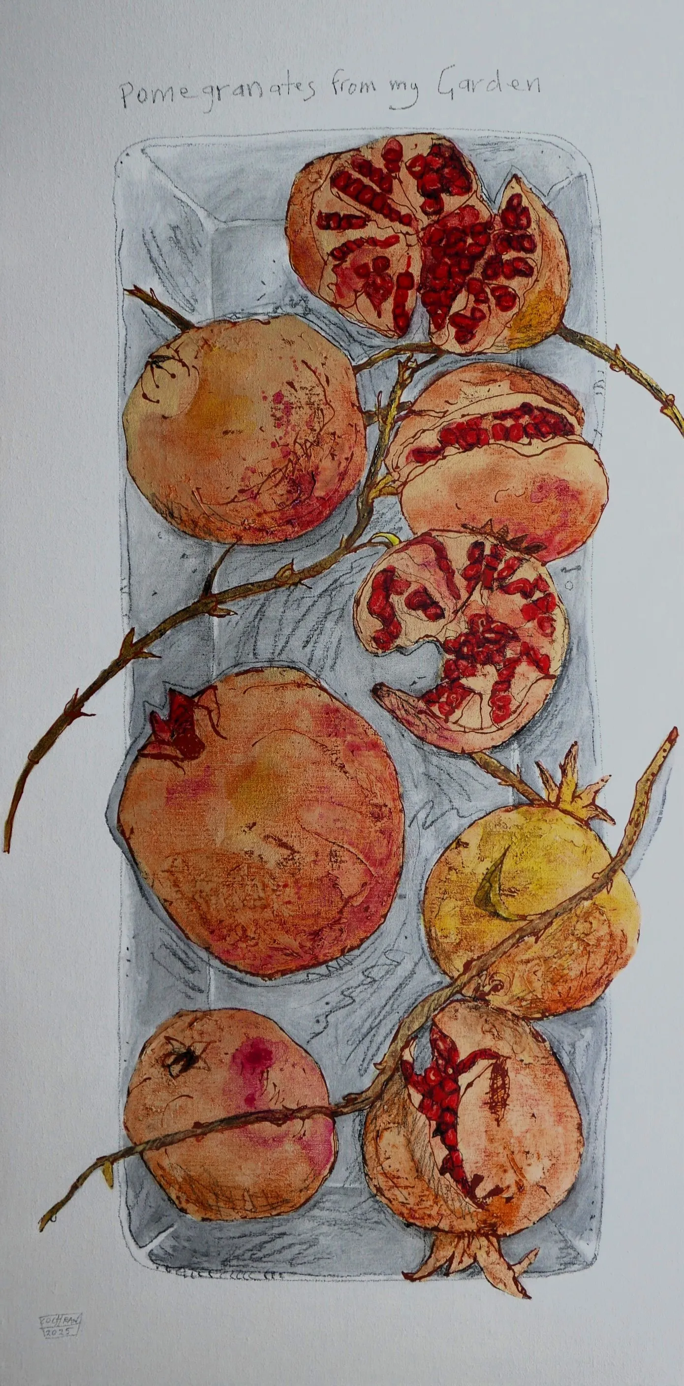 Pomegranates from my Garden 2