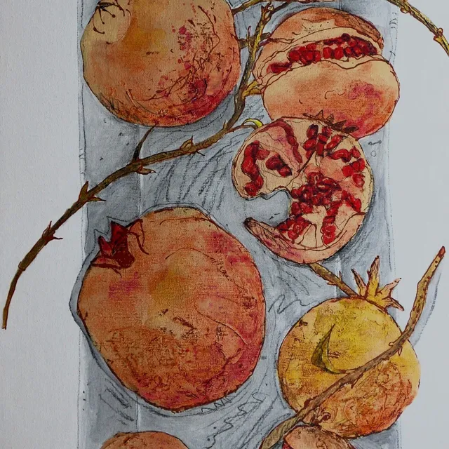 Pomegranates from my Garden 2